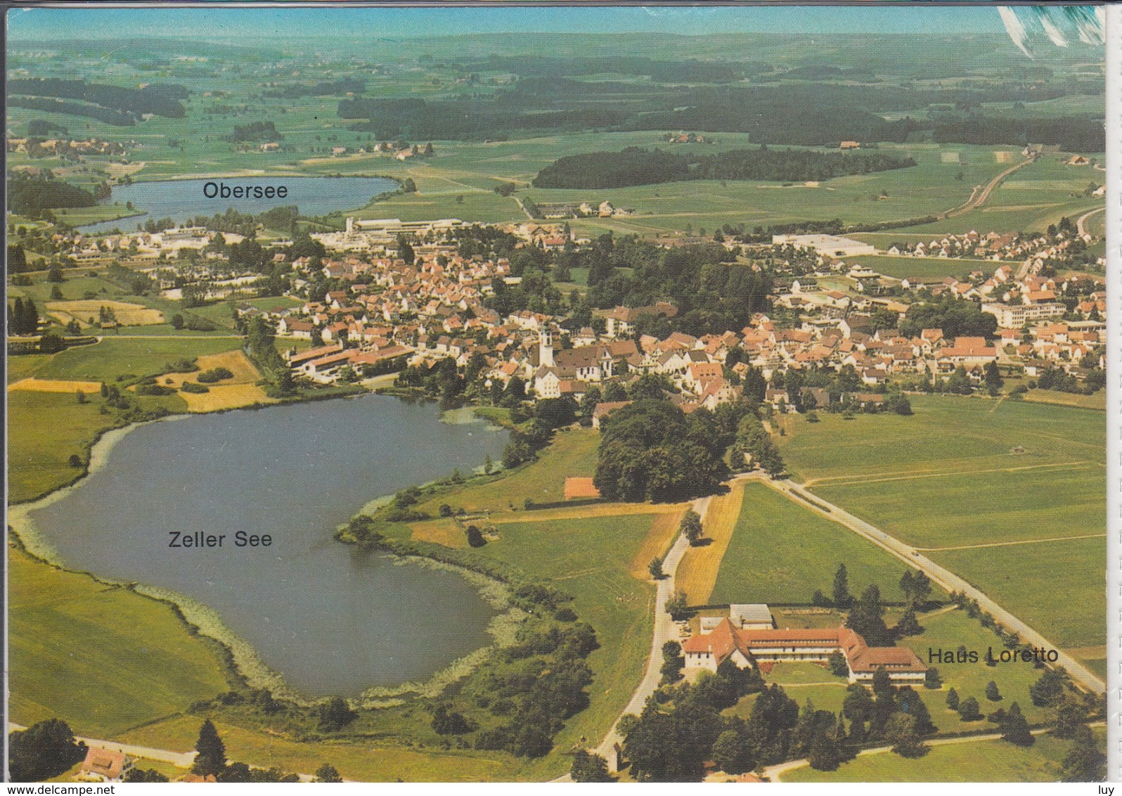 KISSLEGG 7964 - Panorama Luftbild, Flugaufnahme Mit Zeller See Und Obersee  1988 - Kisslegg