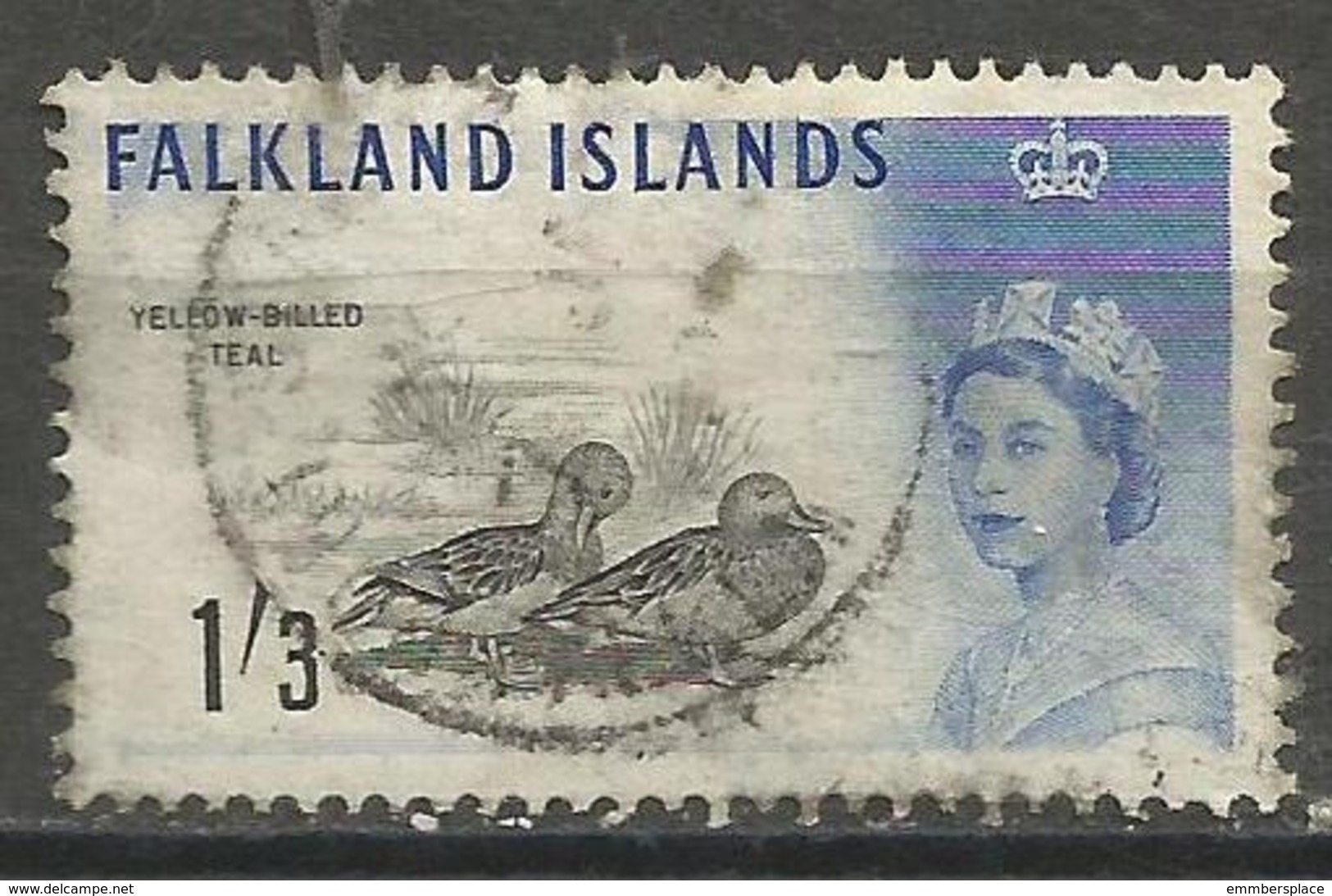 Falkland Is. - 1960  Yellow Billed Teal 1/3d  Used  SG 203  Sc 138 - Falkland Islands