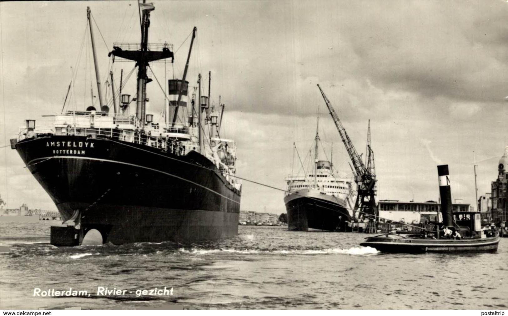 RPPC AMSTELDYK ROTTERDAM PAQUEBOTE SHIP - Steamers