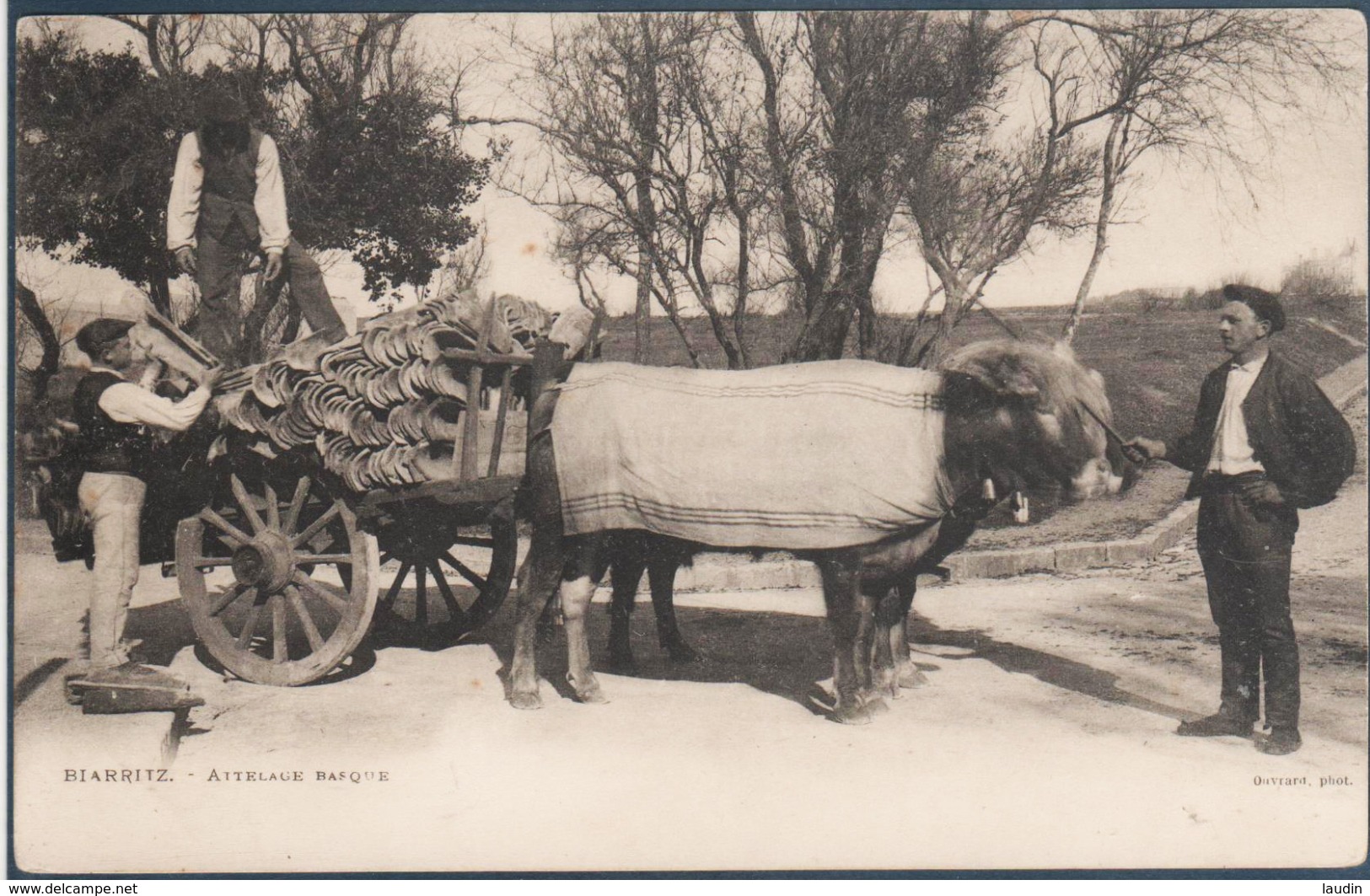 Lot 5 de 39 cartes postales France uniquement , tous les visuels dans l'annonce