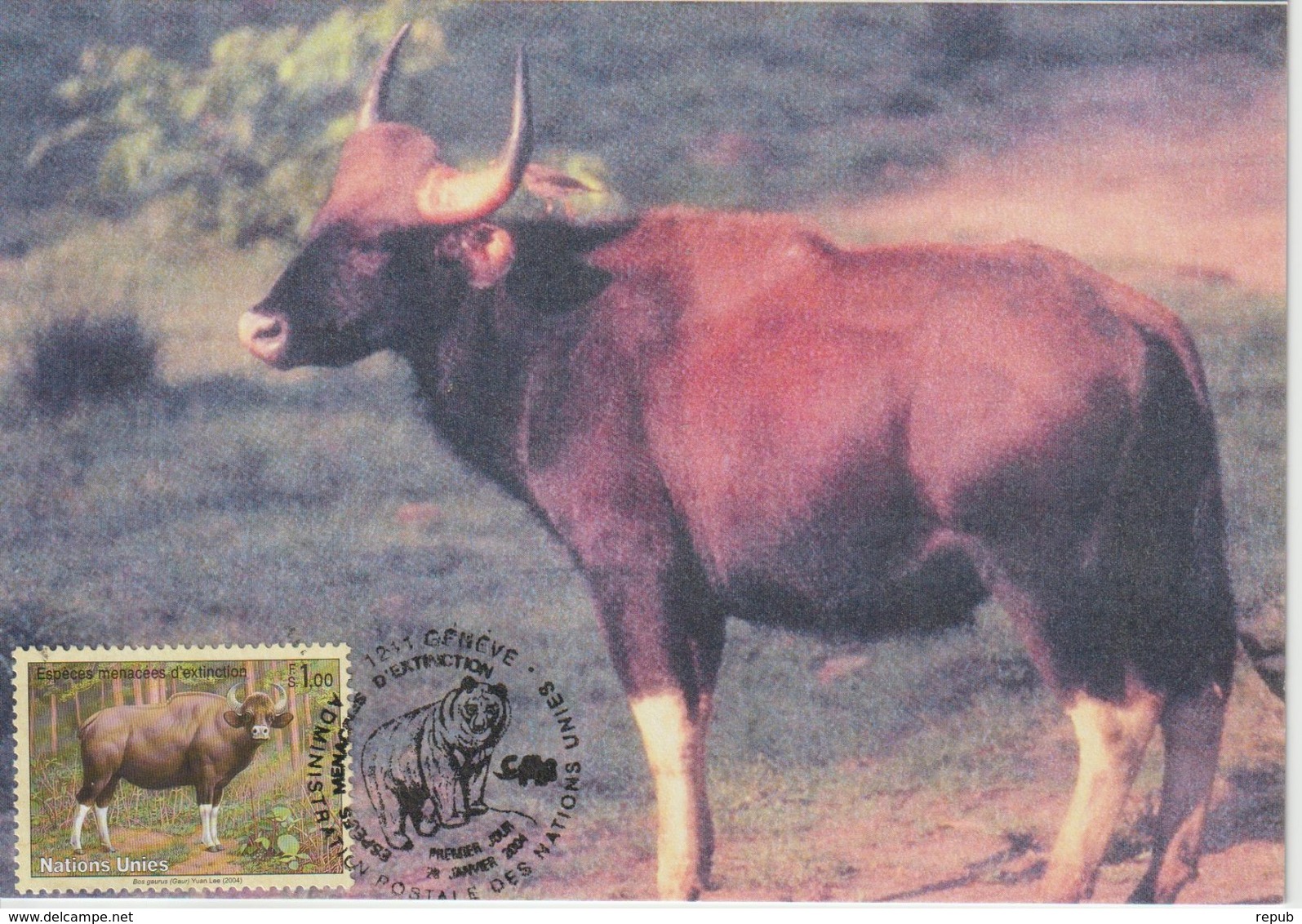 Nations Unies Genève Carte Maximum 2004 Gaur 497 - Cartoline Maximum