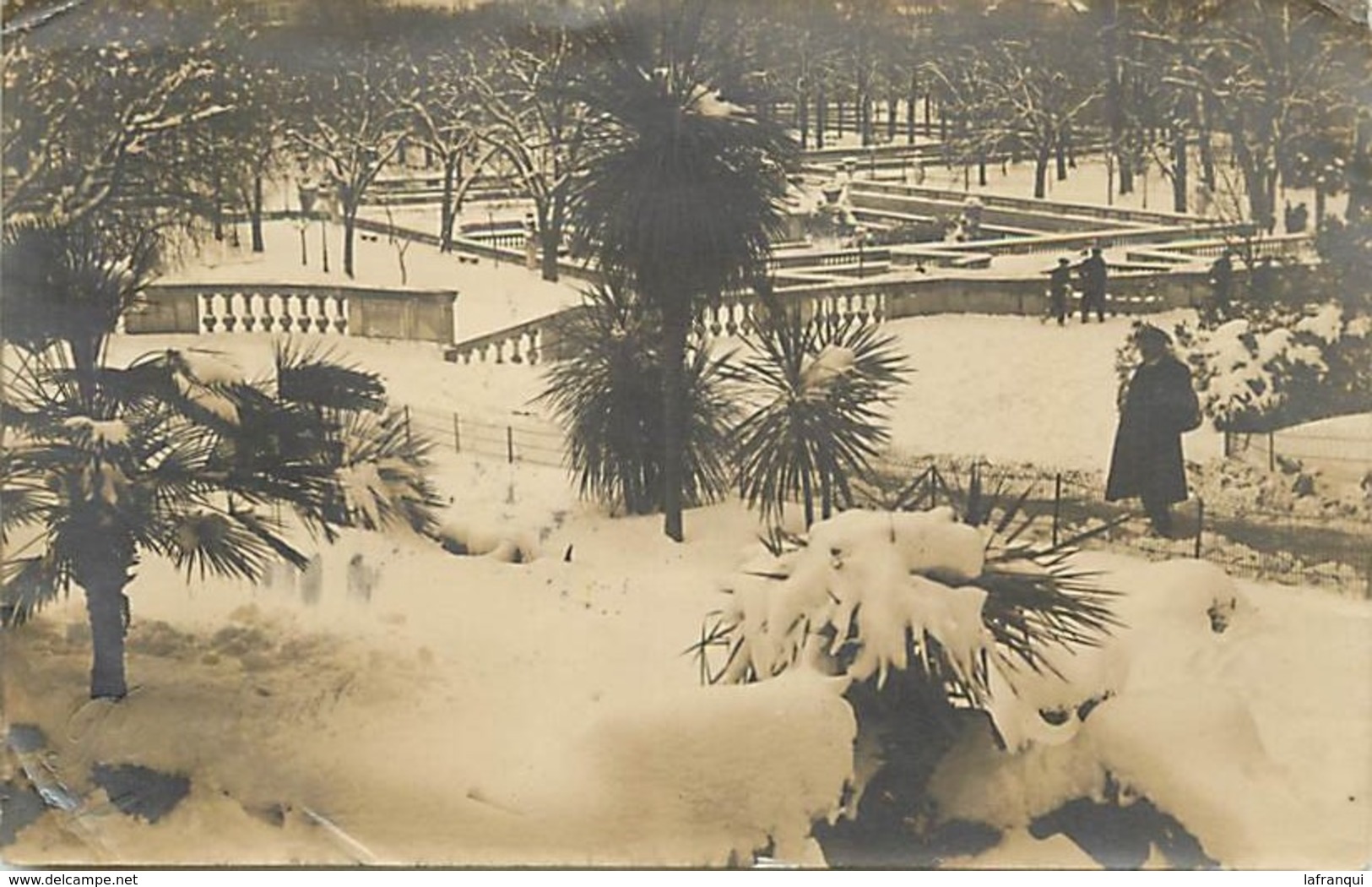 Themes Div-ref DD56- Carte Photo De Nimes - Gard - Dous La Neige - - Nîmes