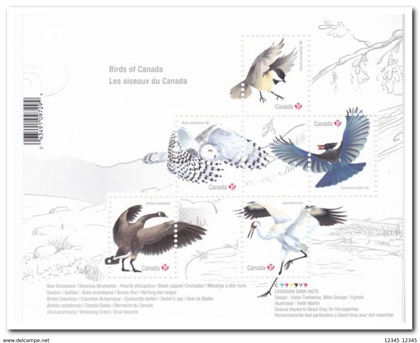 Canada 2018, Postfris MNH, Birds - Ongebruikt
