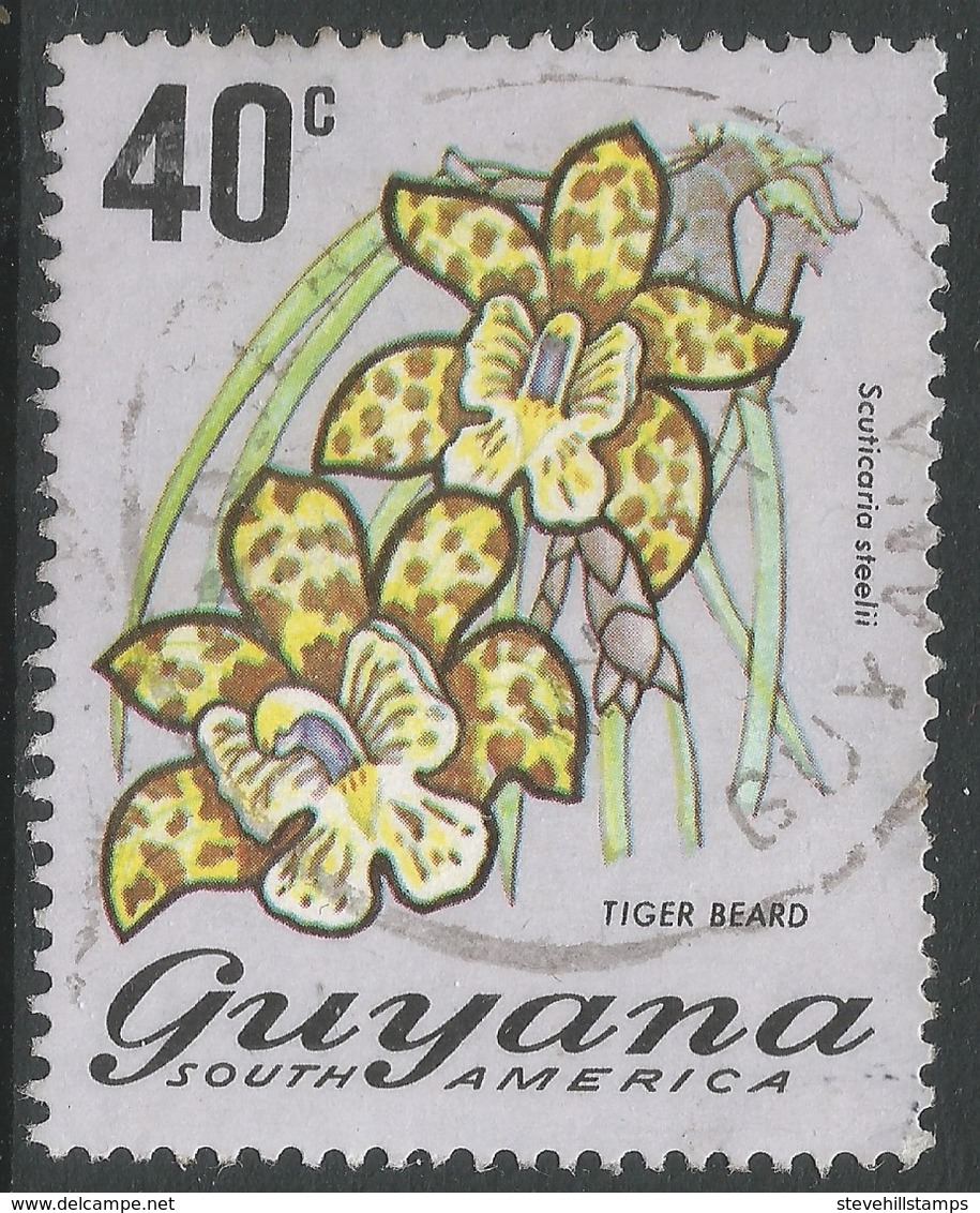 Guyana. 1971 Flowering Plants. 40c Used. SG 551 - Guyana (1966-...)