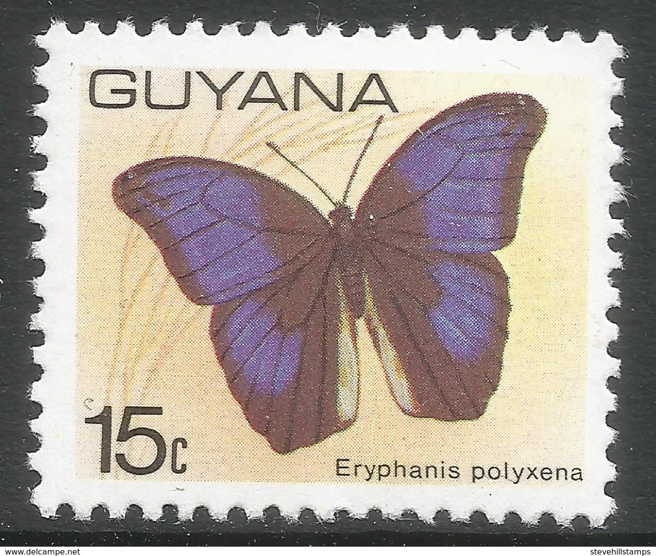 Guyana. 1978 Butterflies. 15c MNH. SG 700 - Guyana (1966-...)