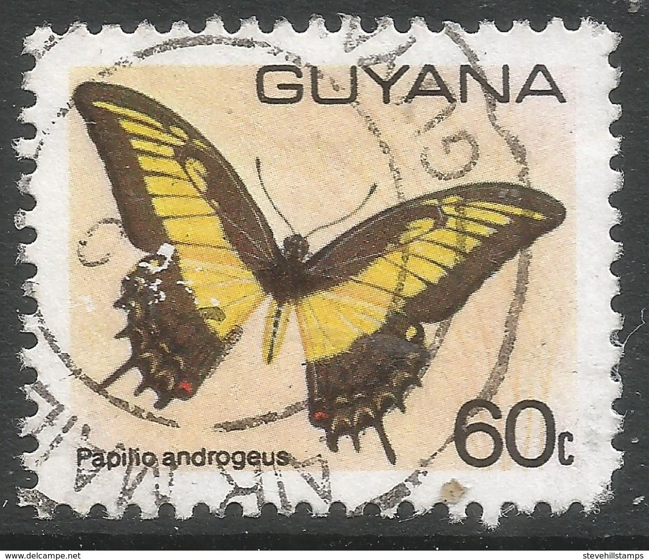 Guyana. 1978 Butterflies, 60c Used. SG 705a - Guyana (1966-...)