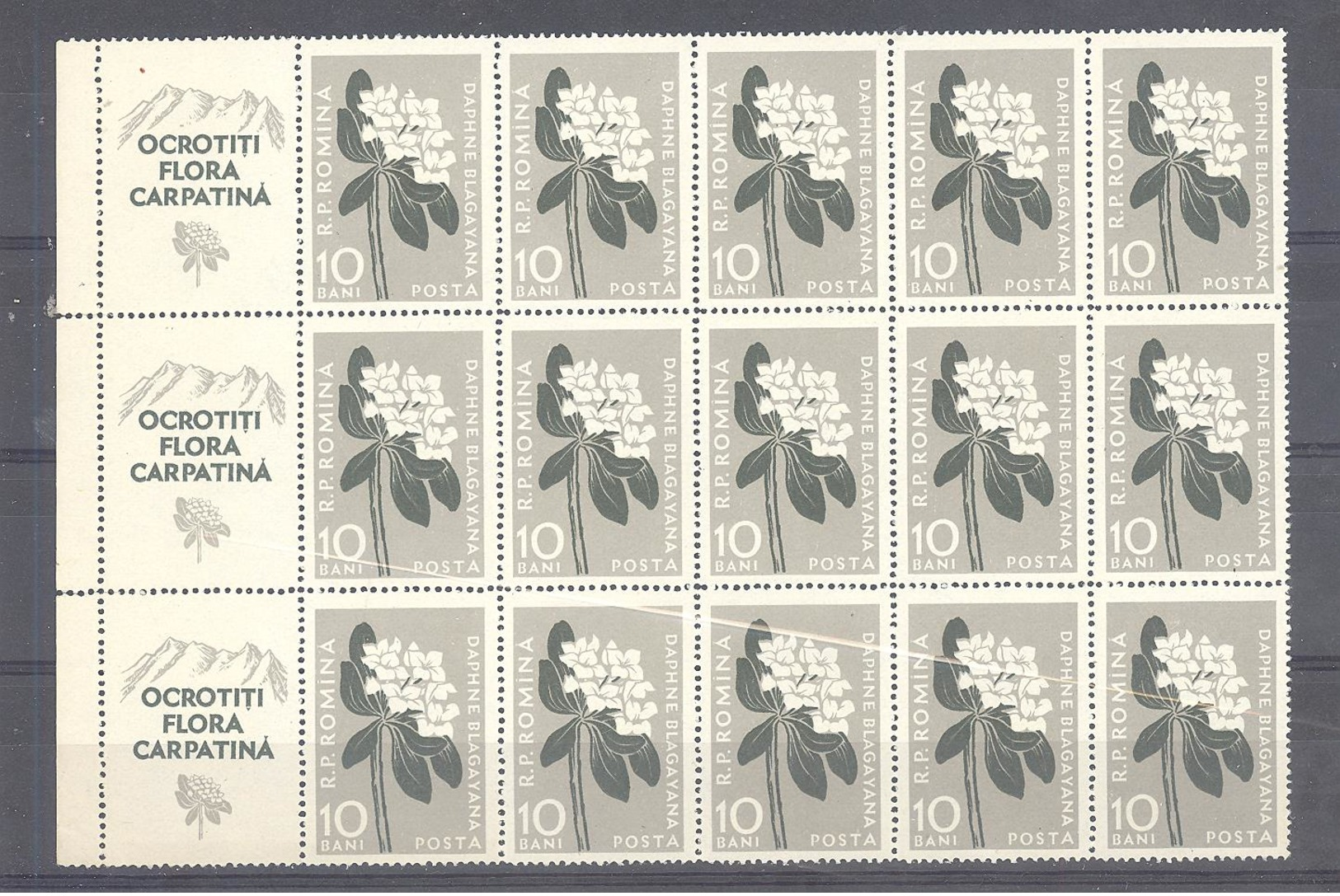 Romania / Rumanien  Michel # 1648  **  15-er Block Mit 3 Zierfelder - Neufs