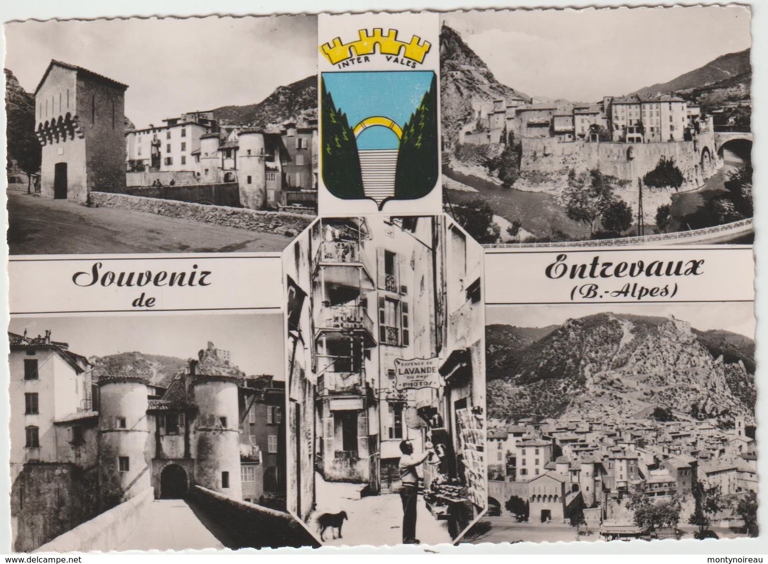 Alpes De  Haute  Provence :  ENTREVAUX  :  Vues - Other & Unclassified