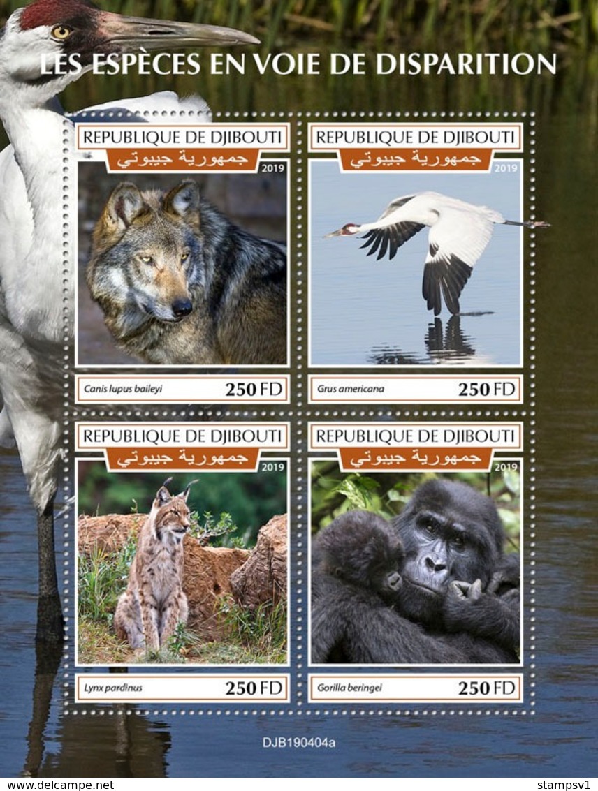 Djibouti. 2019 Endangered Species. (0404a)  OFFICIAL ISSUE - Gorillas