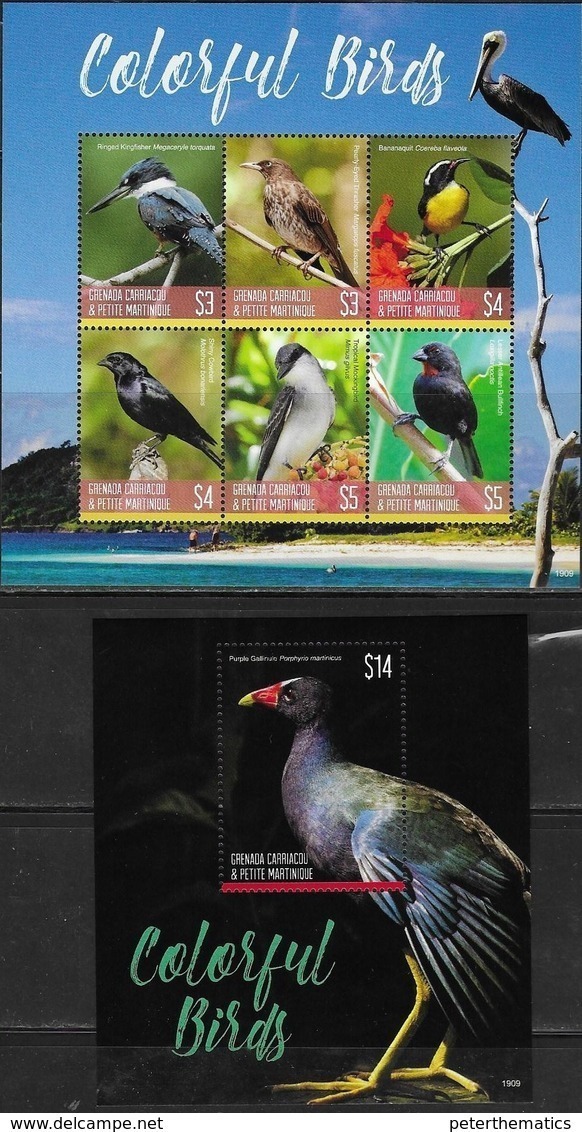 GRENADA CARRIACOU & PETITE MARTINIQUE, 2019, MNH,BIRDS,COLORFUL BIRDS, KINGFISHERS, SHEETLET+S/SHEET , HIGH FV - Other & Unclassified