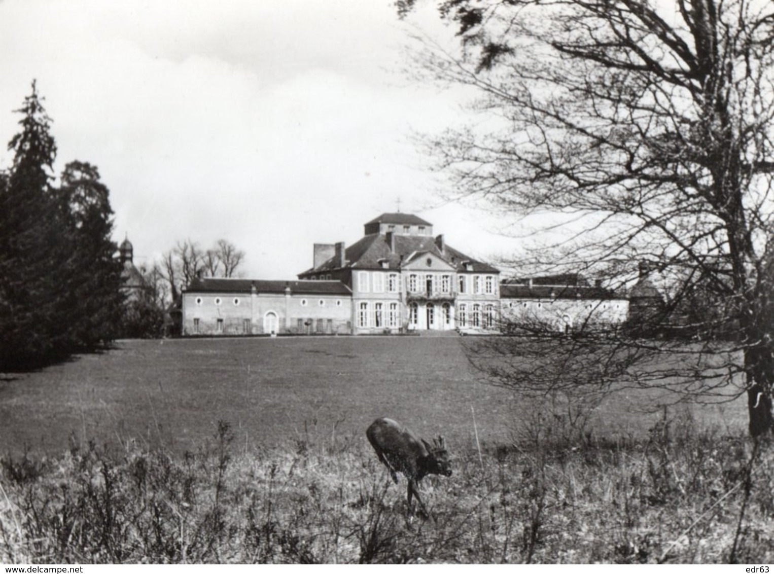 [03] Allier > Non Classés Chateau Sur Allier Le Chateau De Saint Augustin Chevreuil - Autres & Non Classés