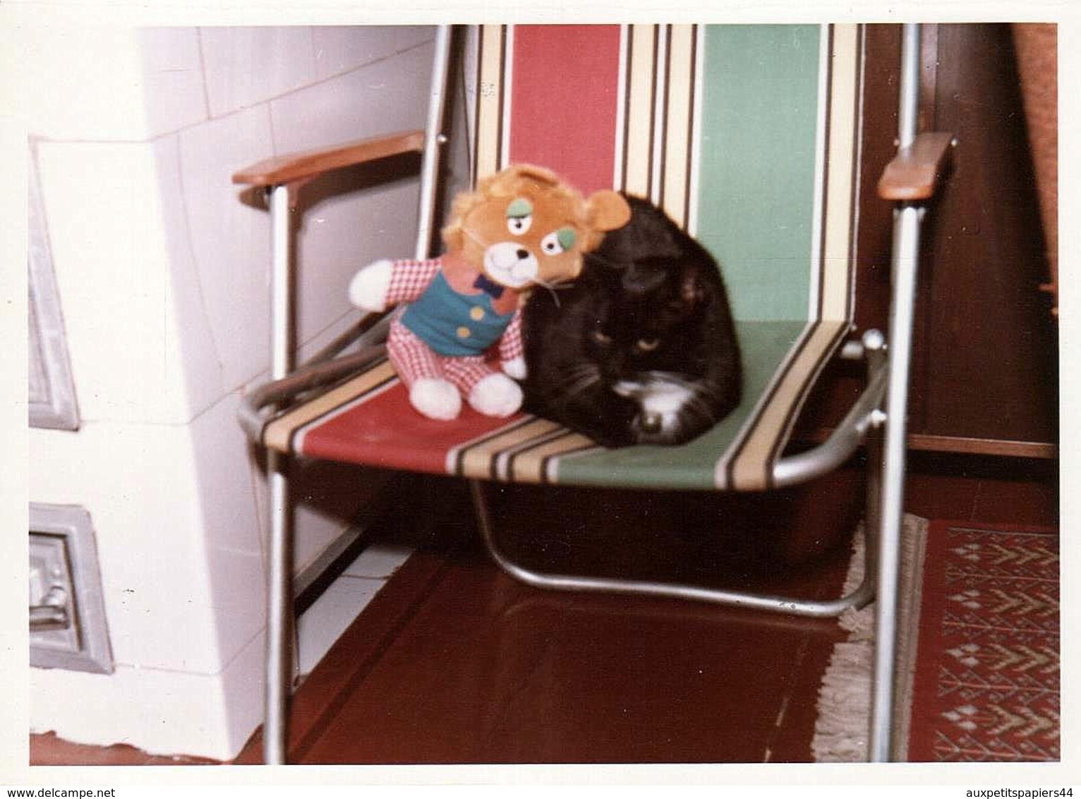 Photo Couleur Originale B.B. Câlin Sur Siège Pliant Entre Un Ours En Peluche Et Un Chat Noir & Blanc Vers 1960/70 - Objets