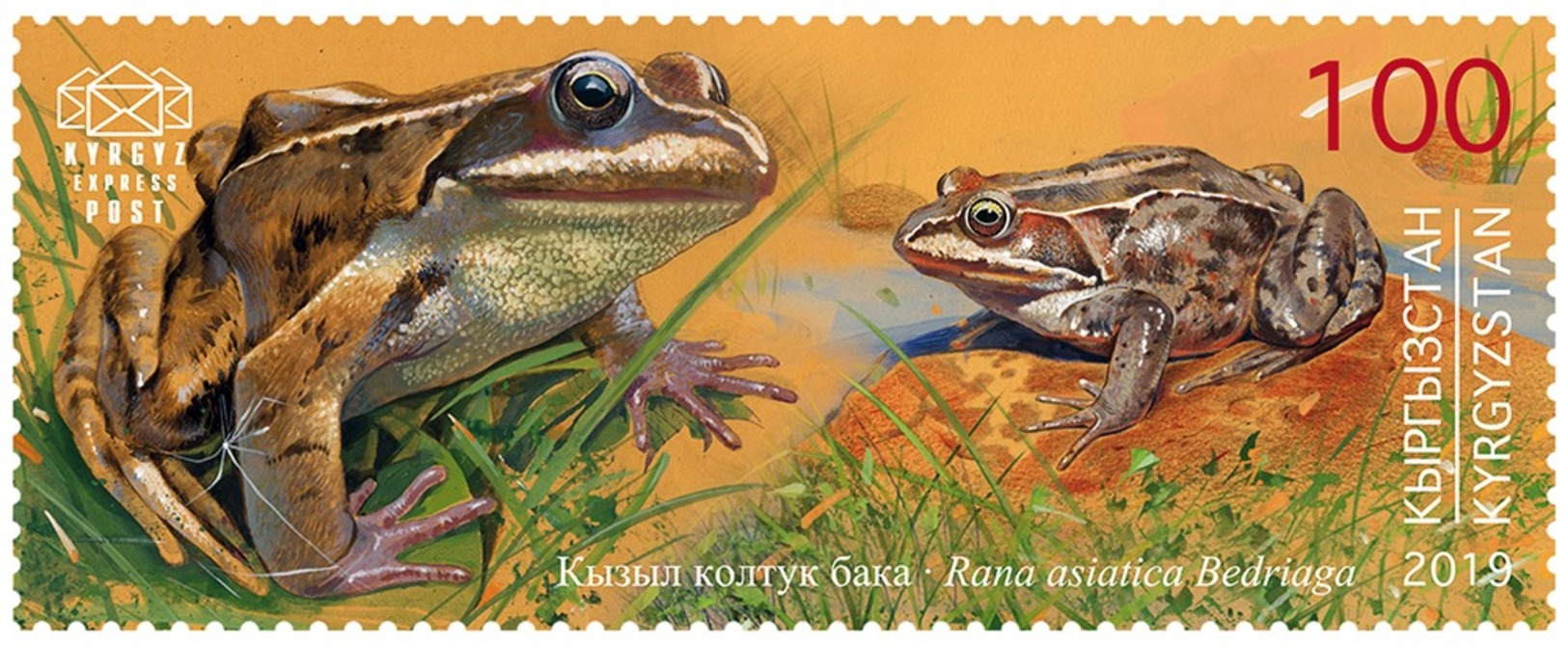 H01 Kyrgyzstan Red List Red Book Rote Liste Reptiles Frogs Snakes 2019 Mi# 134 MNH - Kirgisistan