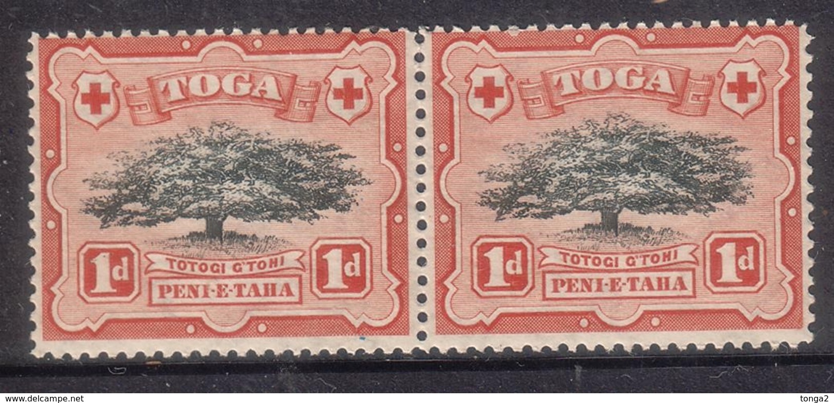 Early Tonga 1897 1d Pair MNH Normal + Variety "lopped Branch" - Cat £175.00 With Turtle W/m - Tonga (1970-...)