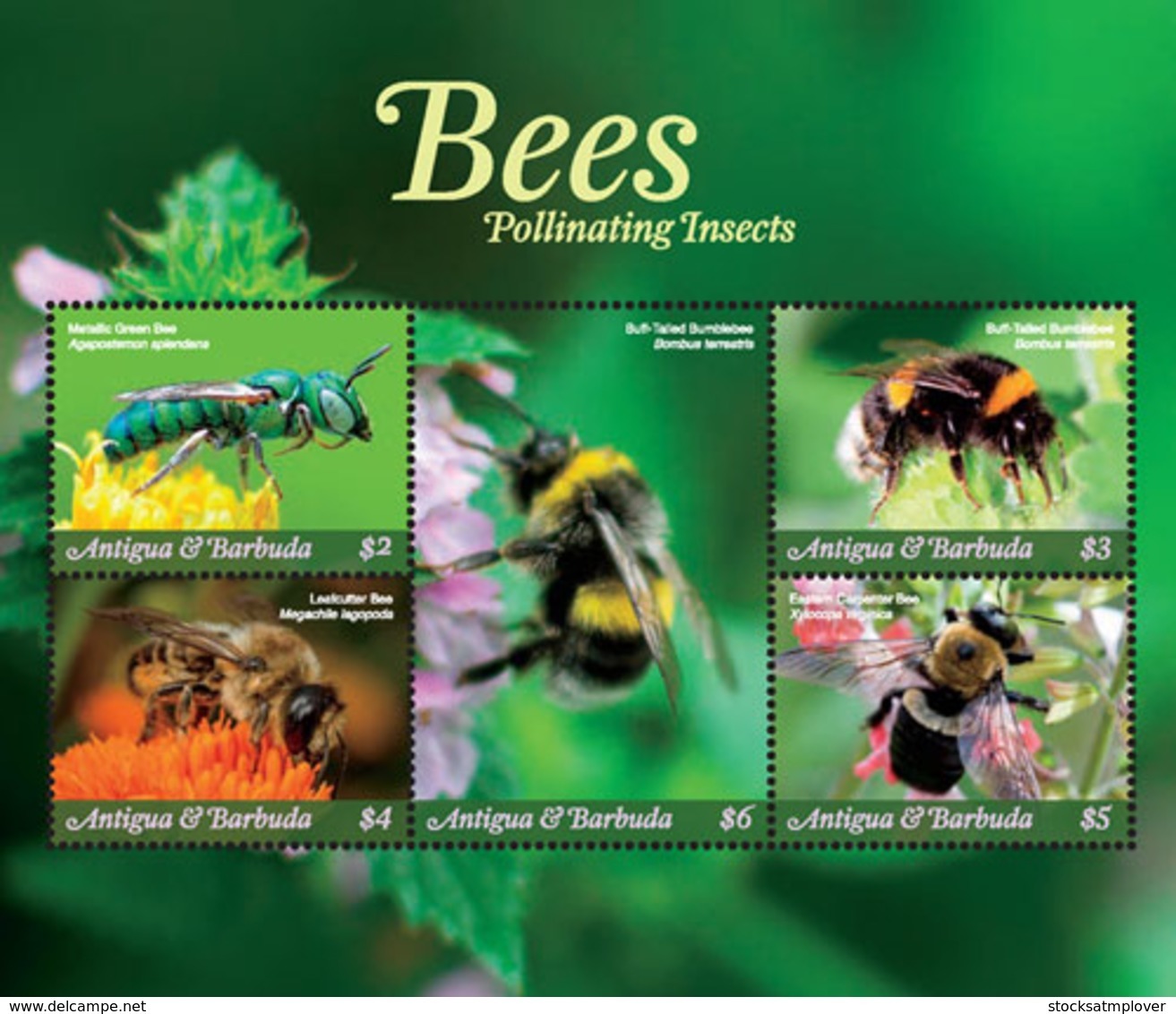 Antigua And Barbuda  2018 Fauna  Bees Pollinating Insects  I201901 - Antigua And Barbuda (1981-...)