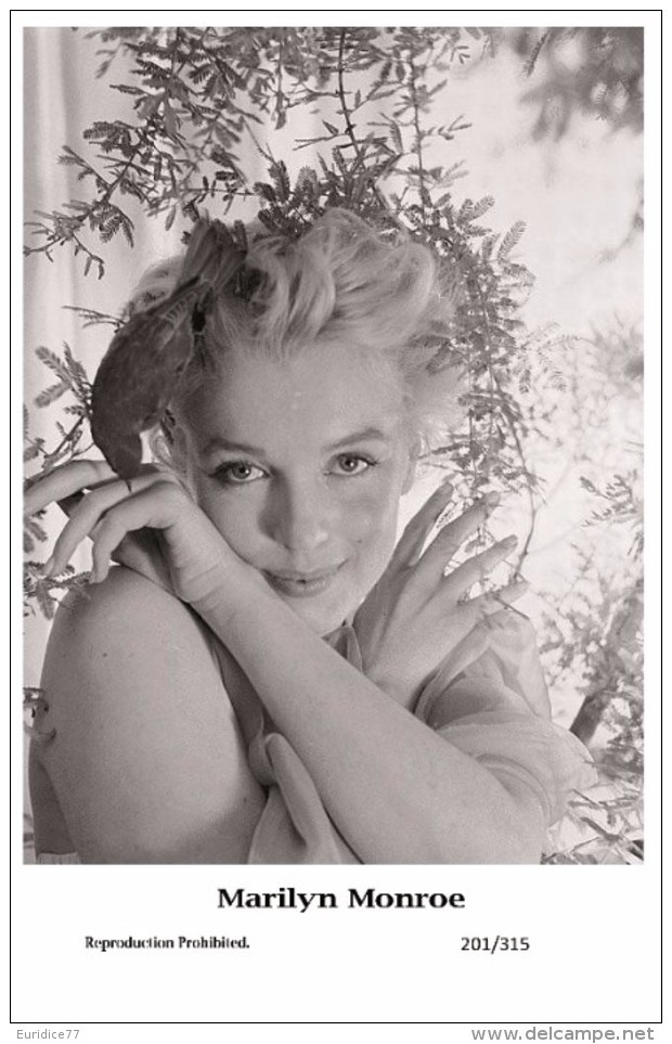 MARILYN MONROE - Film Star Pin Up PHOTO POSTCARD- Publisher Swiftsure 2000 (201/315) - Artistas