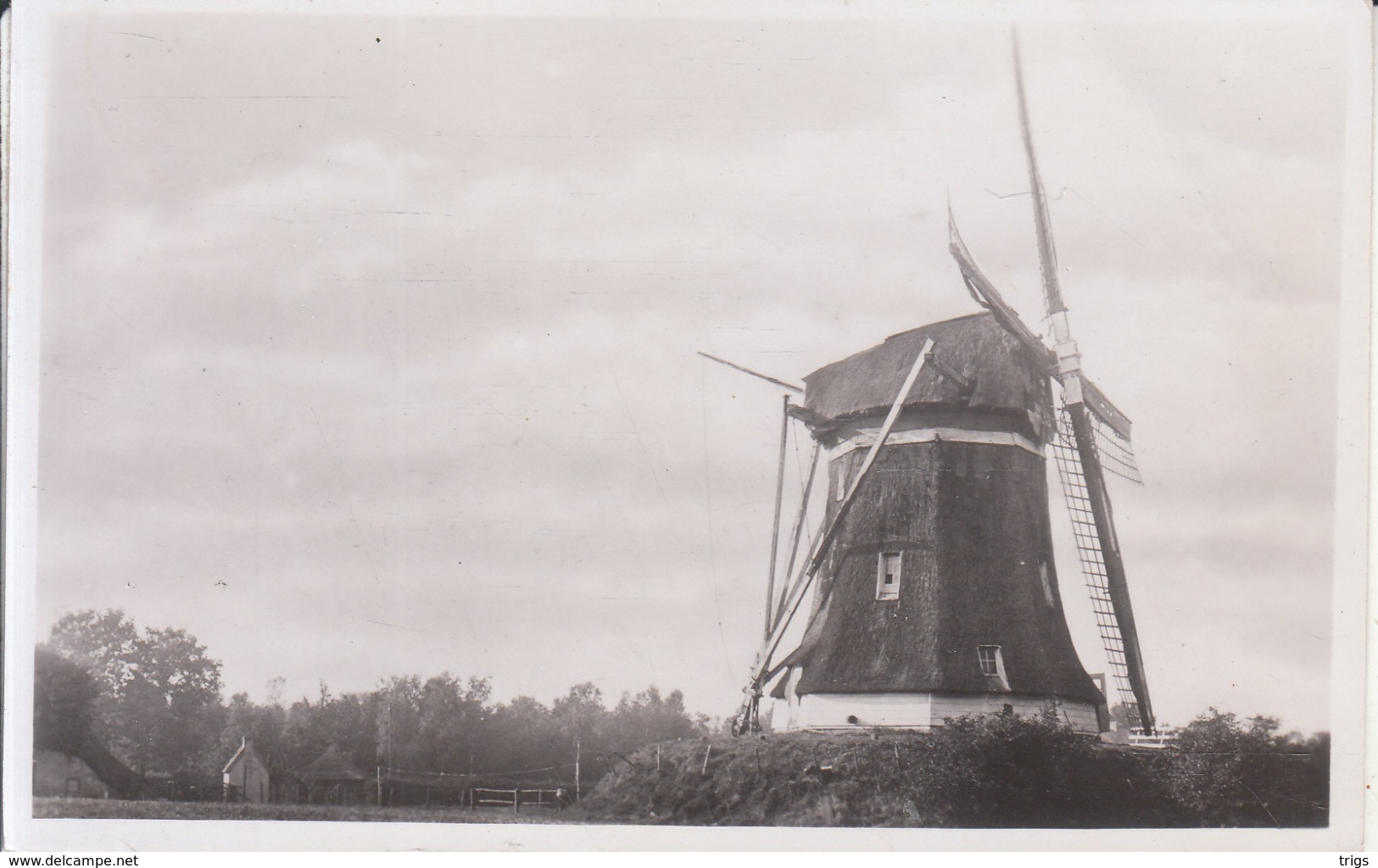 Elspeet - Molen - Nunspeet