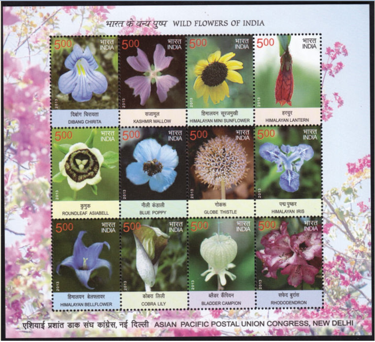 5X INDIA 2013 Wild Flowers Of India; Sheetlet MINT - Nuevos