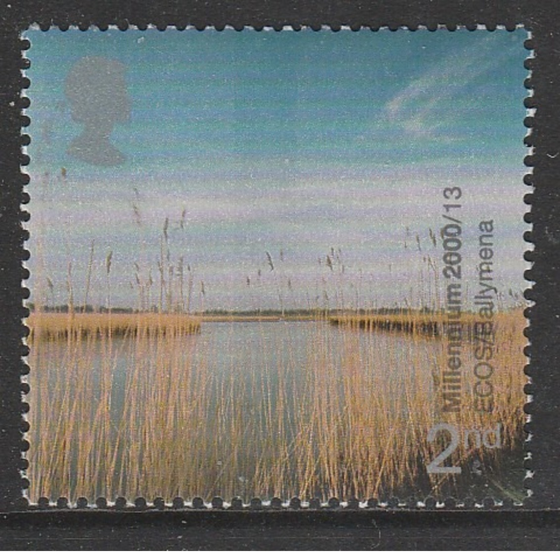 GB 2000 Millennium Projects 4th Series Life And Earth 2nd Multicoloured SG:GB 2138 ** MNH - Unused Stamps