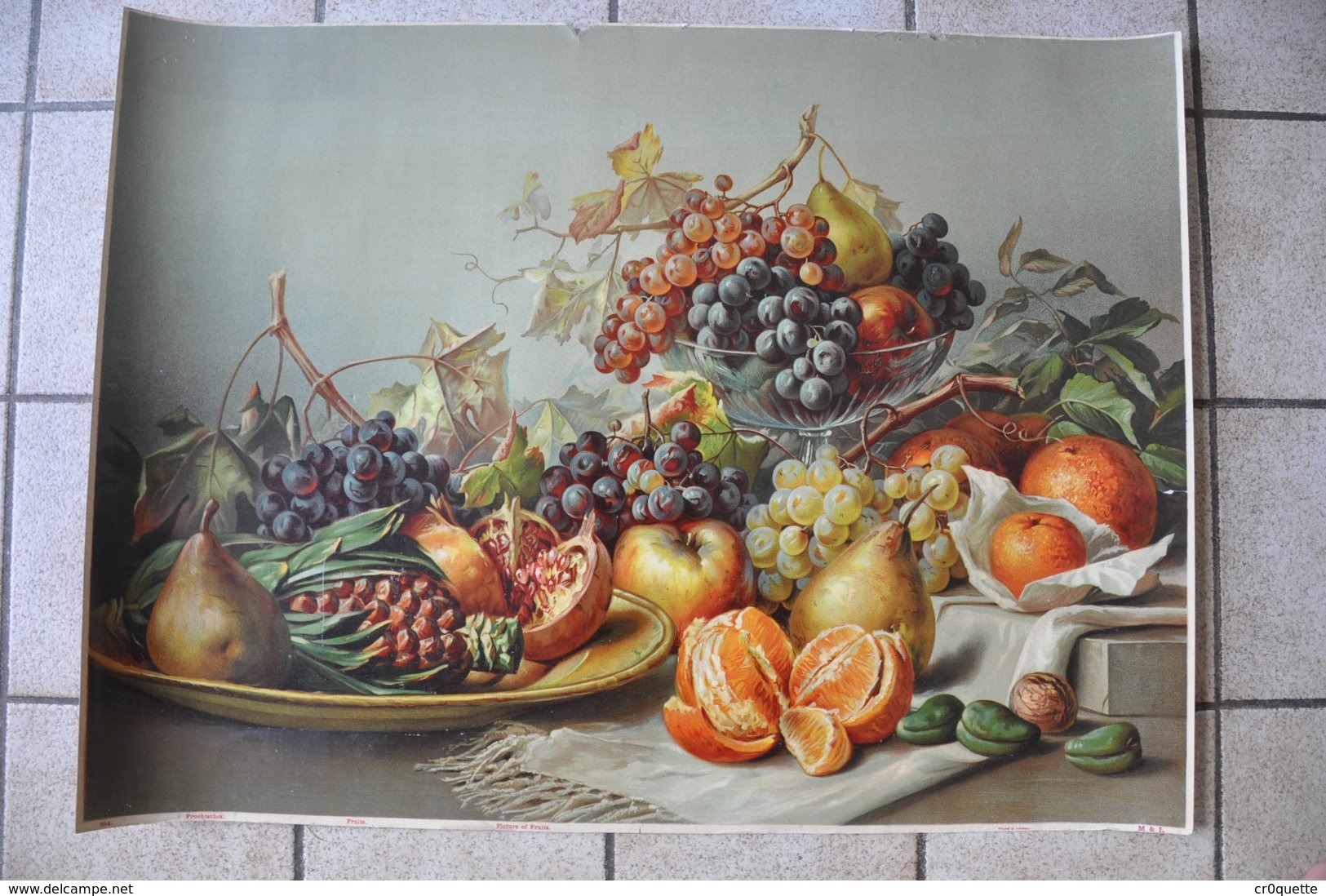 VIEILLE GRAVURE AFFICHE CHROMO - NATURE MORTE ORANGE RAISIN - Affiches