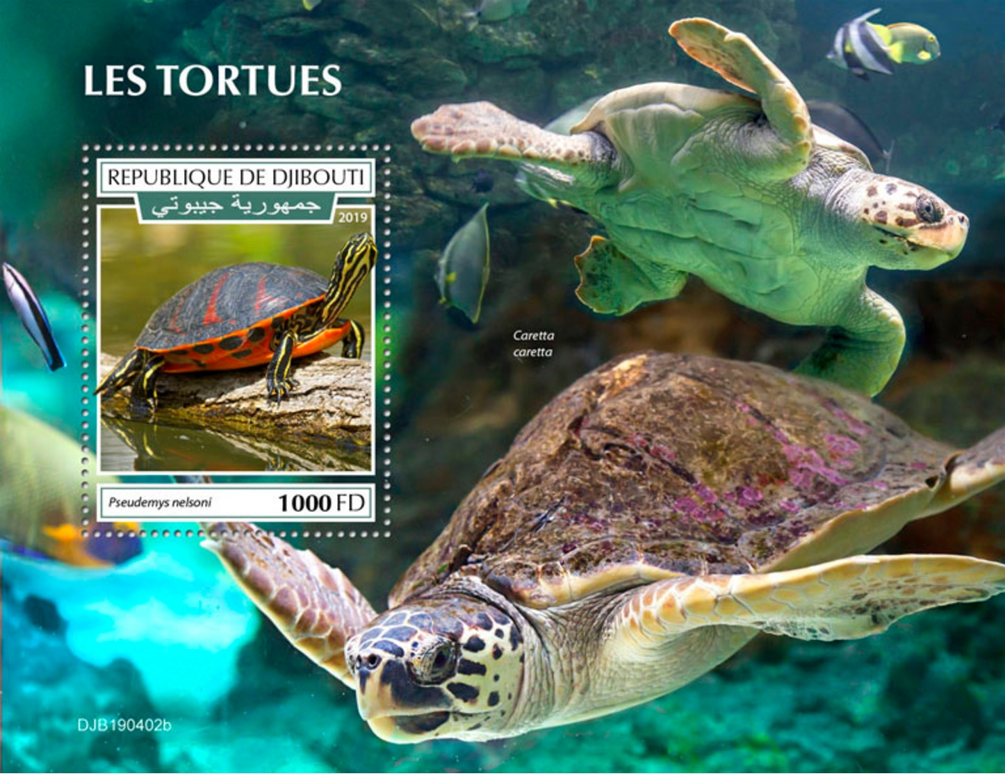 Djibouti 2019 Turtles Fauna Turtle S/S DJB190402 - Otros & Sin Clasificación