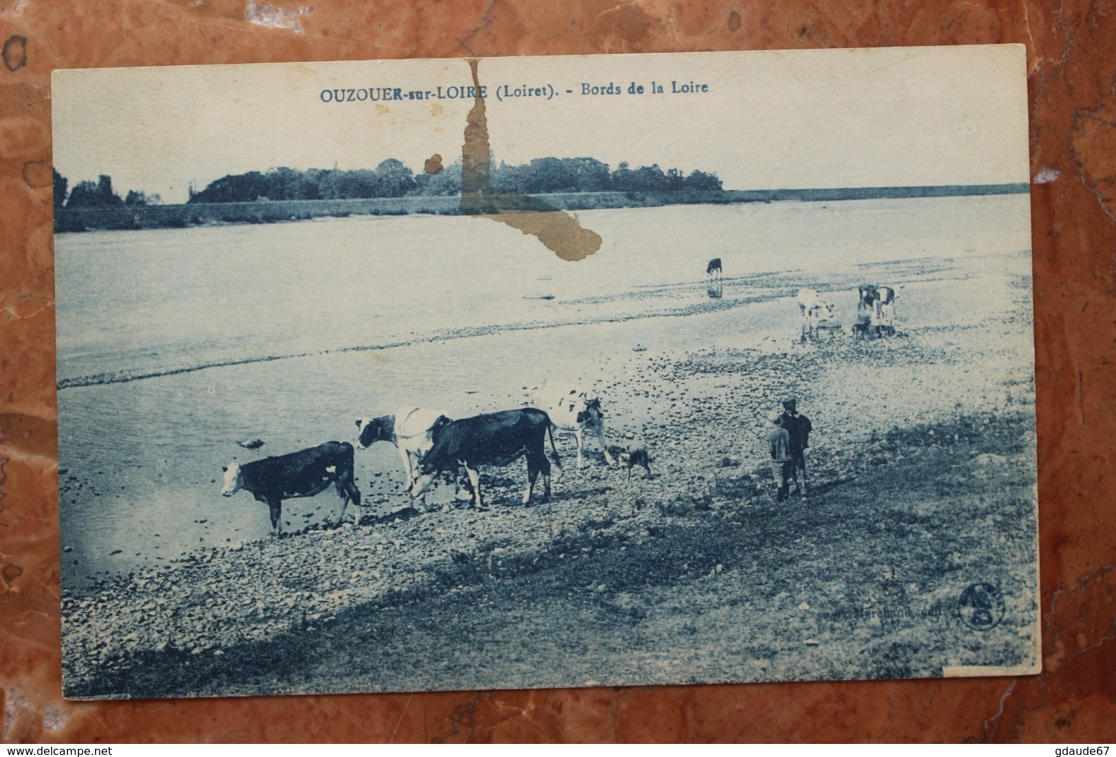 OUZOUER SUR LOIRE (45) - BORDS DE LA LOIRE - Ouzouer Sur Loire