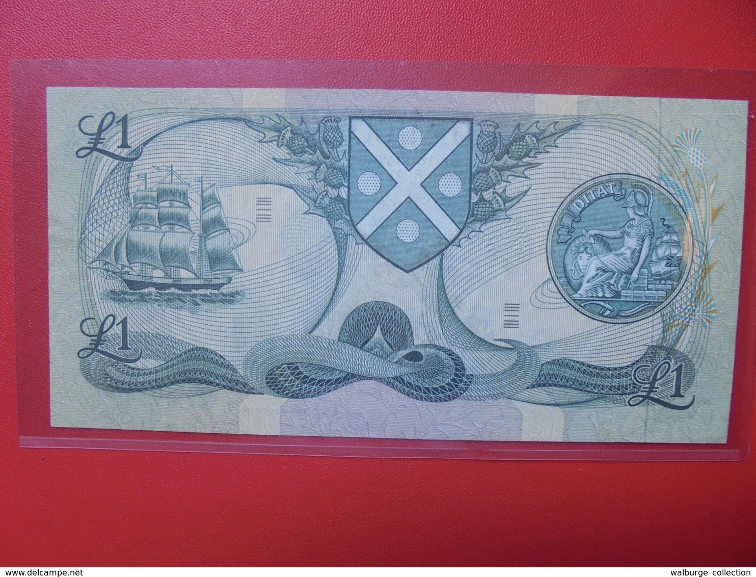 ECOSSE 1 POUND 1972 CIRCULER BELLE QUALITE (B.6) - 1 Pound