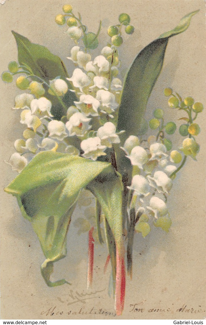 Muguet - 1902 - Flores