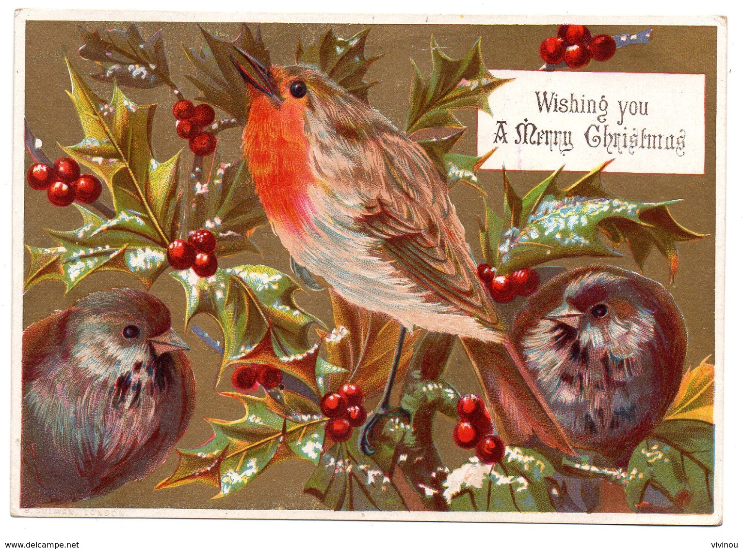 RARE Chromo Victorian Trade Card Dorée Carte Voeux Fête Noël Rouge-gorge Oiseau Houx Fruit Rouge Lith B Sulman,London - Otros & Sin Clasificación