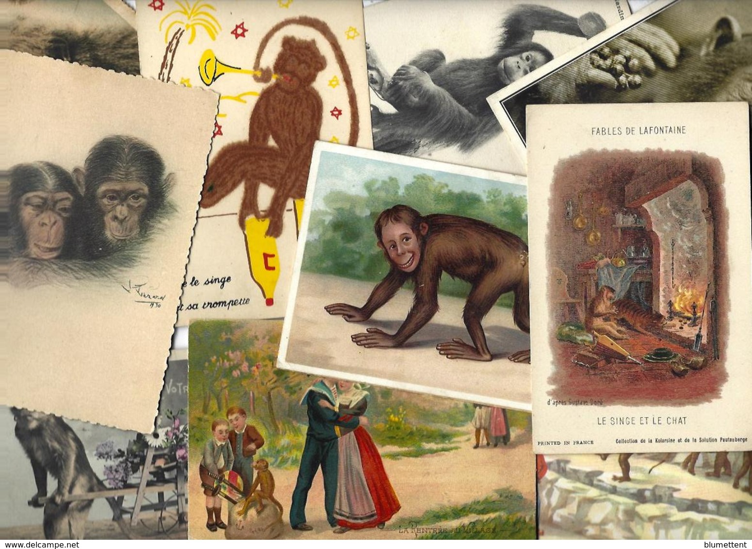 Lot 2088 De 10 CPA Singe Monkey Déstockage Pour Revendeurs Ou Collectionneurs - 5 - 99 Postcards