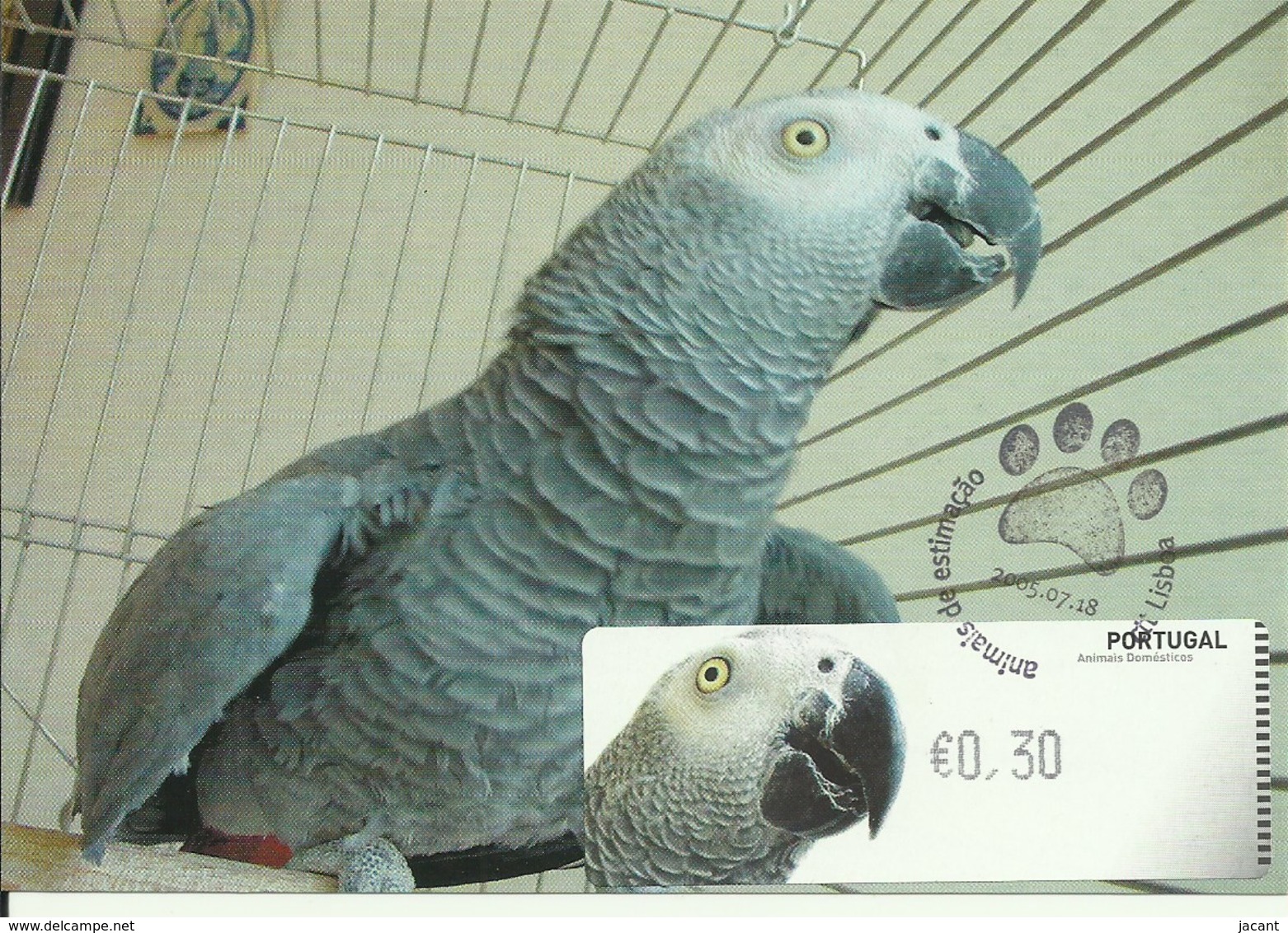 Carte Maximum - Oiseaux - Portugal - Papagaio Cinzento - Perroquet Jaco - Grey Parrot - Psittacus Erithacus - Papagayos