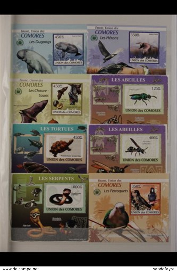 FLORA & FAUNA 2009-2011. NEVER HINGED MINT MINIATURE SHEET TOPICAL Collection Of The Comoros Islands. We See An Extensiv - Sin Clasificación