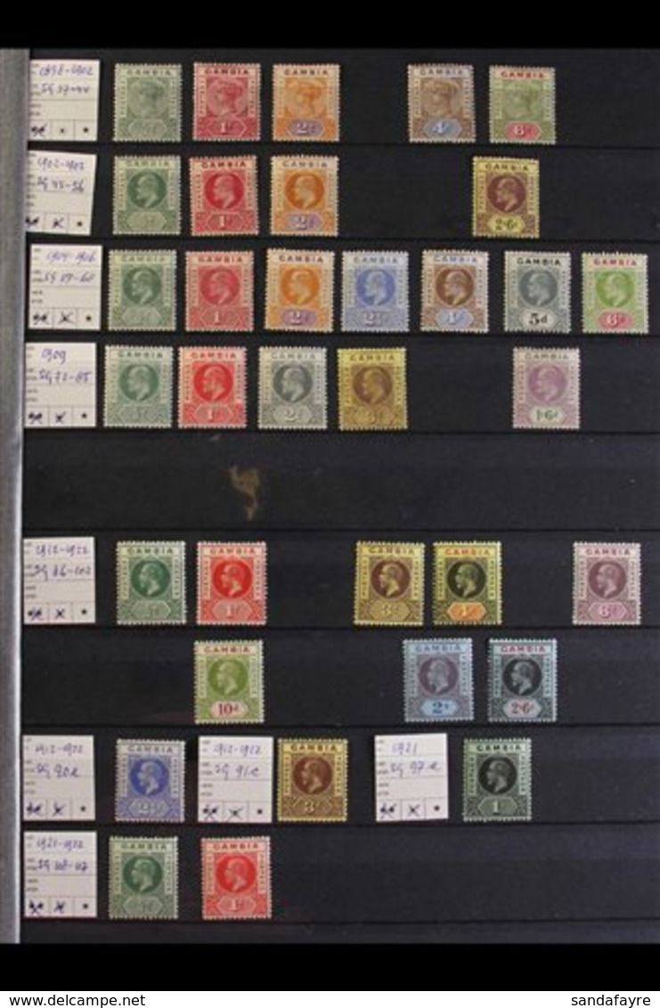 1898-1965 FINE MINT COLLECTION On Stock Pages, We See 1898-1902 Values To 6d, KEVII Values To 2s6d, KGV To 2s6d Values,  - Gambia (...-1964)