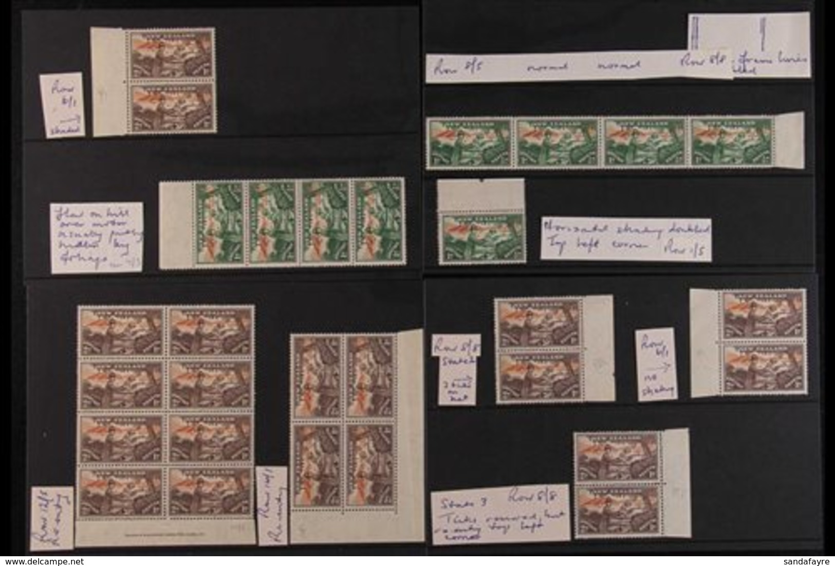 1946 'HEALTH STAMPS' VARIETIES WITHIN MULTIPLES. Fine Mint (all Stamps Never Hinged) Group Of All Different Identified V - Sonstige & Ohne Zuordnung