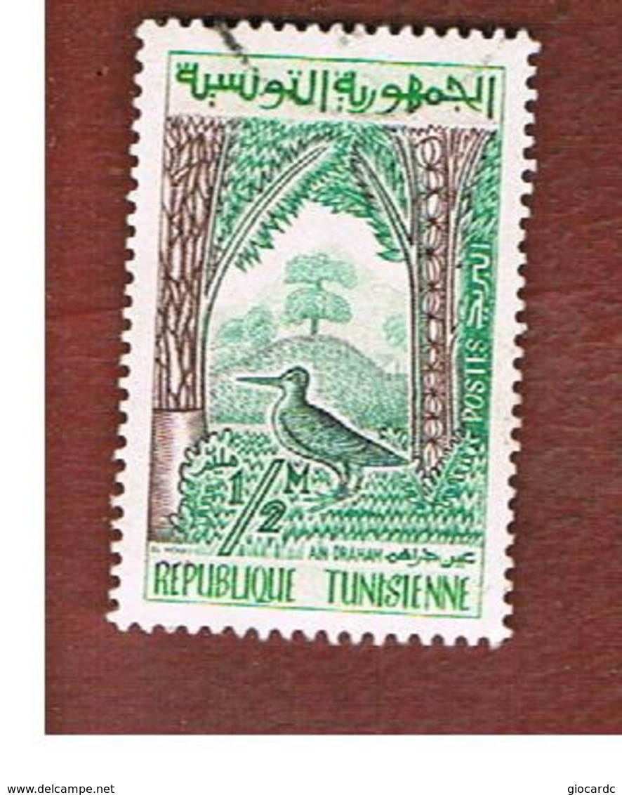 TUNISIA - SG 479 -    1959  BIRDS: COMMON SNIPE          - USED ° - Tunisia (1956-...)