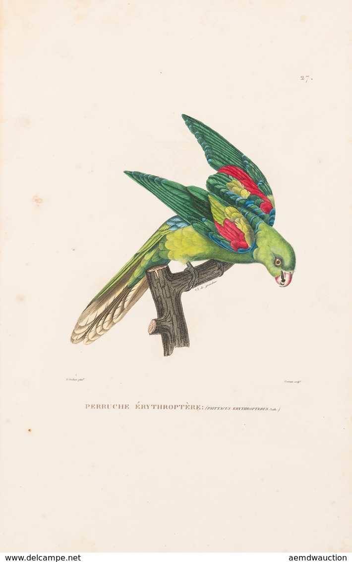 [Louis-Claude De Saulces De FREYCINET ]- [Atlas Zoologi - Non Classificati