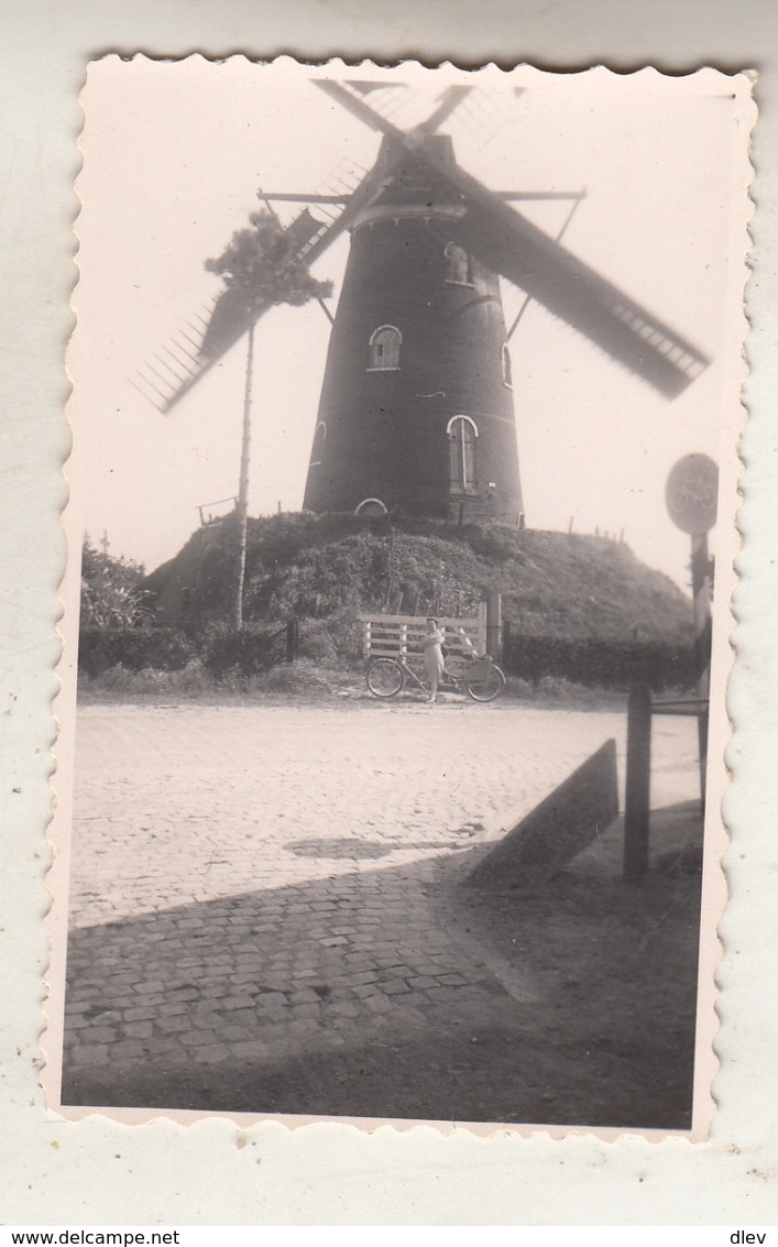 Windmolen In Cadzand - Foto 5.5 X 9 Cm - Autres & Non Classés