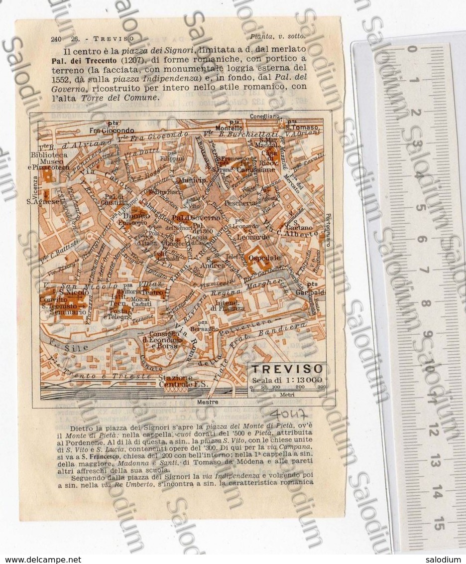 TREVISO  - Mappa Cartina - Altri & Non Classificati