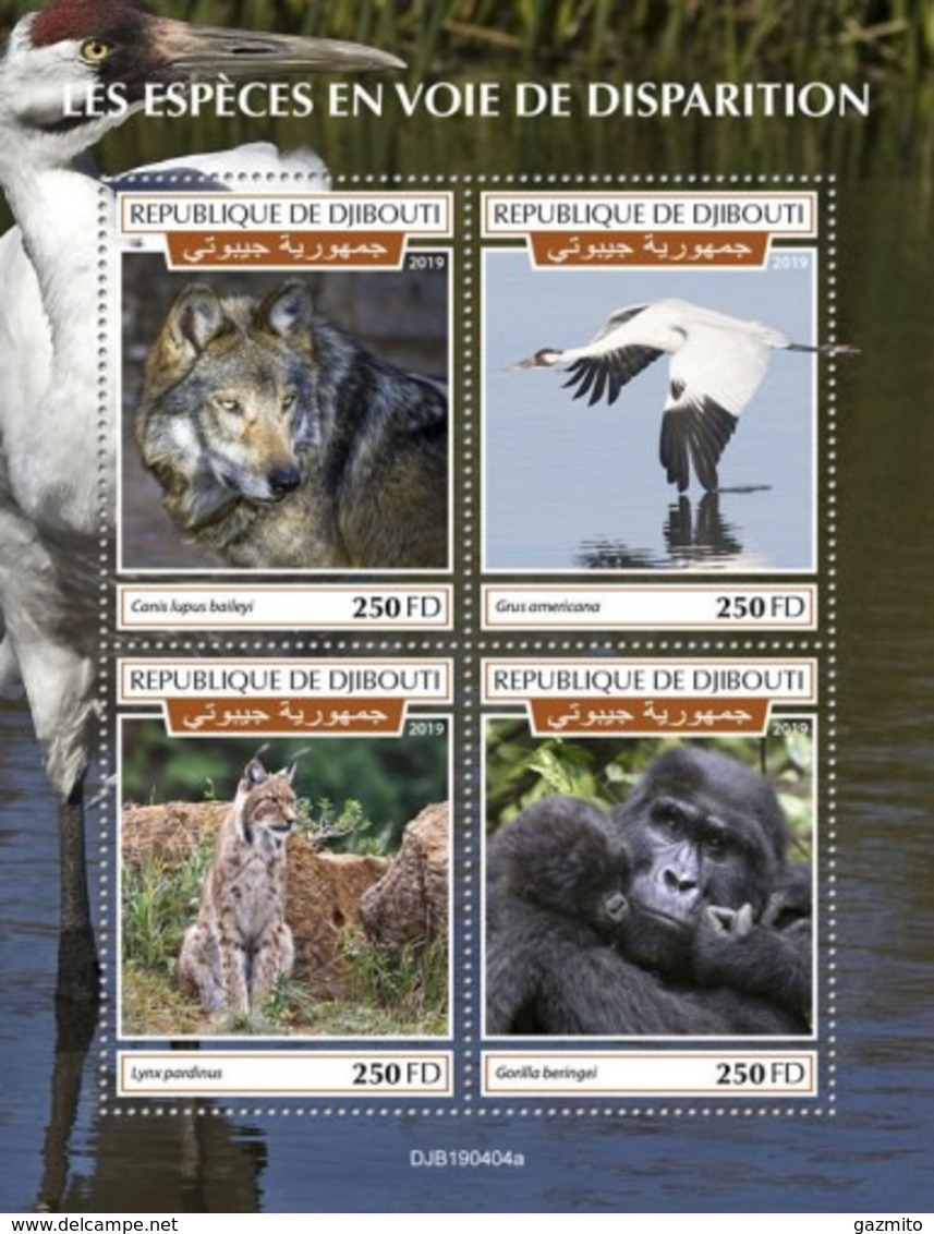 Djibouti 2019, Animals, Wolf, Gorilla, Enron, Linx, 4val In BF - Gorilles