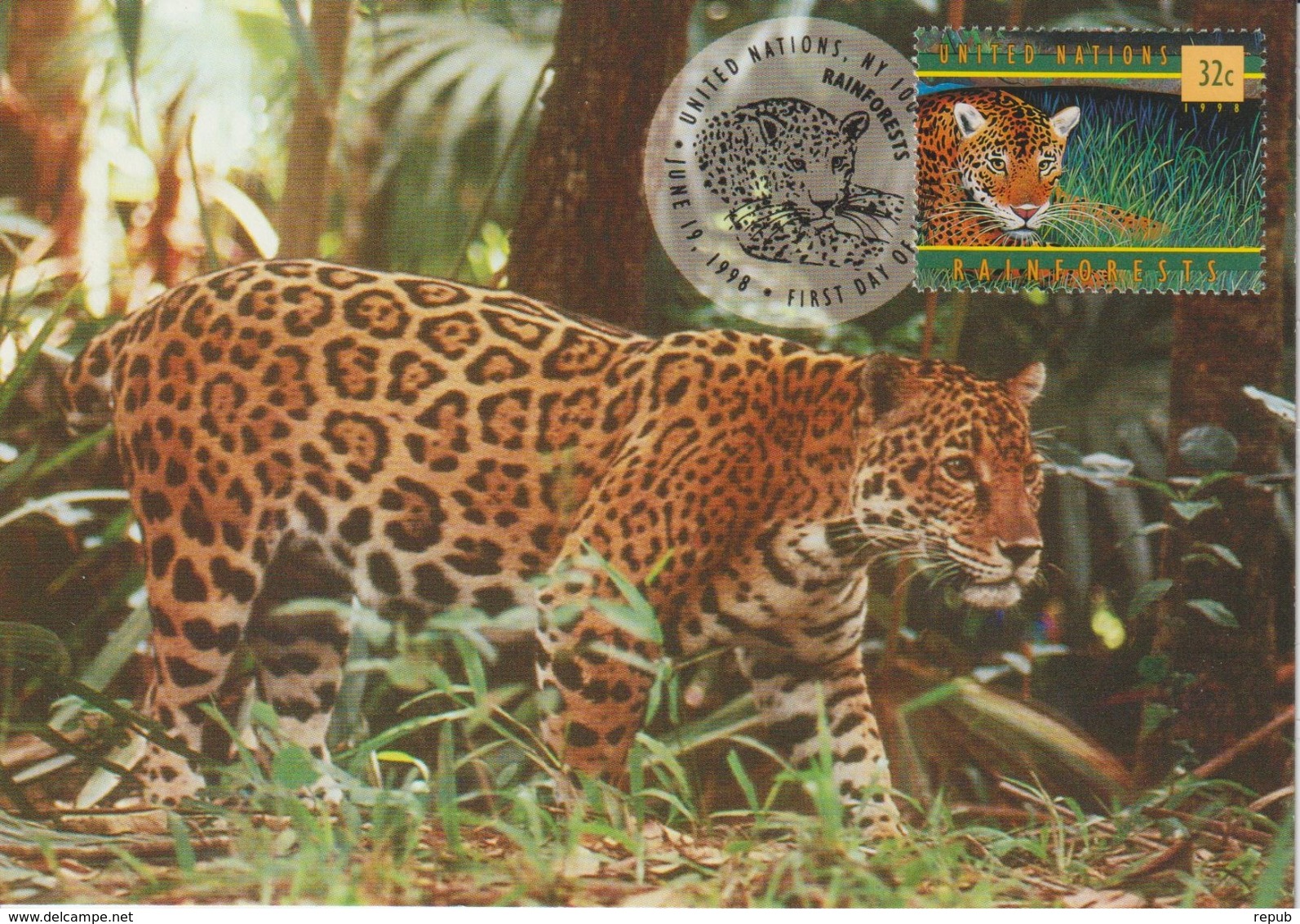 Nations Unies New York Carte Maximum 1998 Jaguar 770 - Maximumkaarten