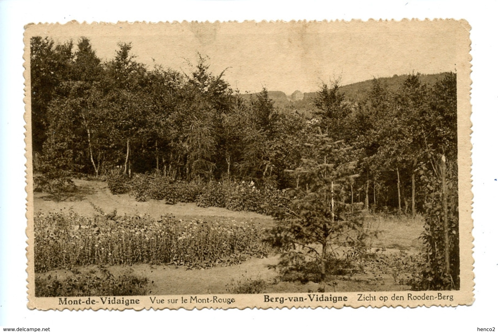 Mont De Vidaigne - Vue Sur Le Mont Rouge - Berg Van Vidaigne - Zicht Op Den Rooden Berg - Heuvelland