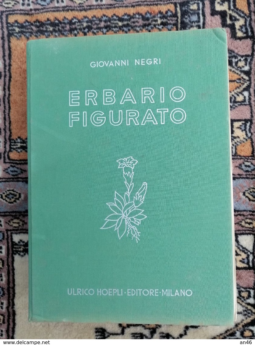 ERBARIO FIGURATO-di GIOVANNI NEGRI-EDITORE ULRICO HOEPLI-MILANO SPEDIZIONE € 6,00- - Garten