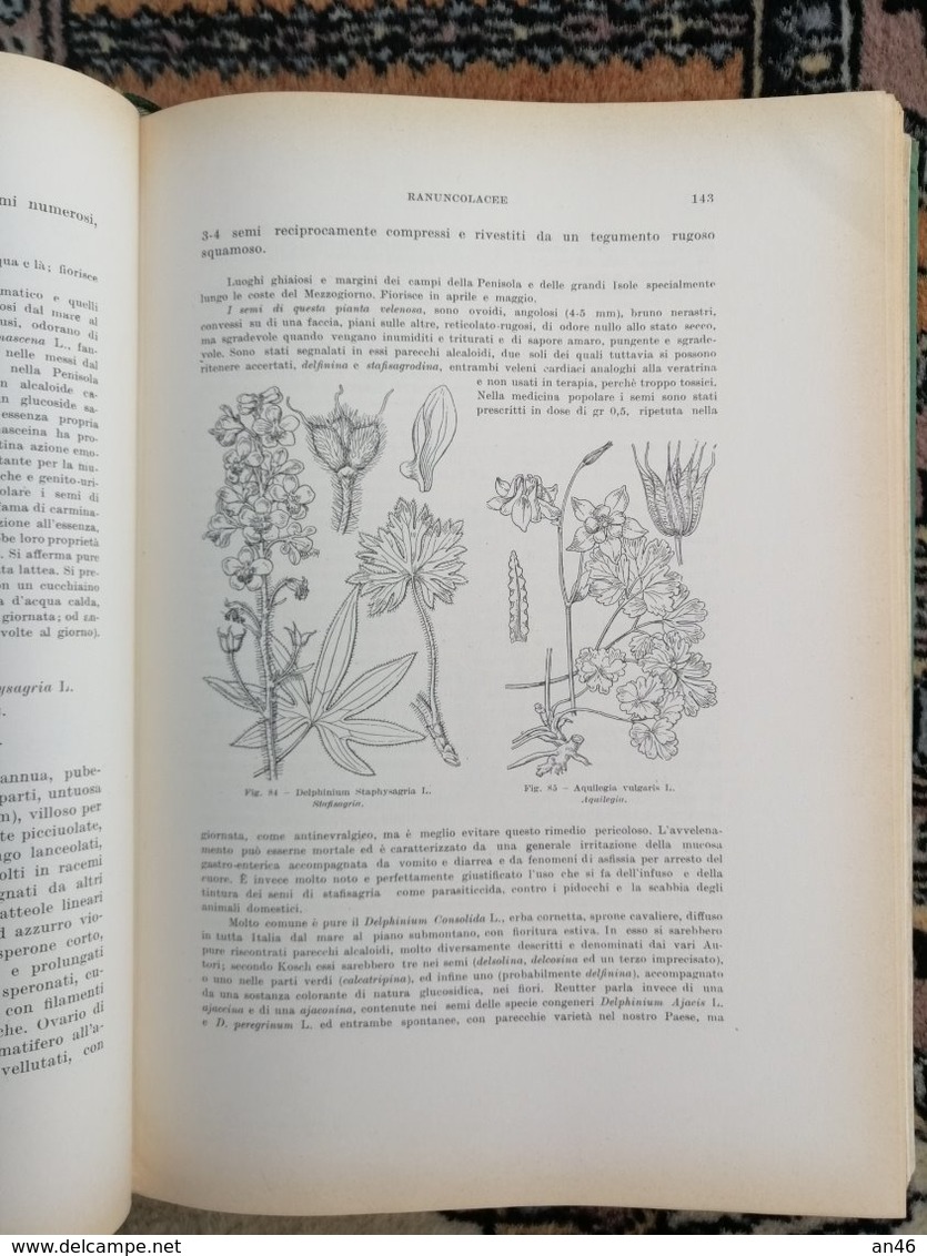 ERBARIO FIGURATO-di GIOVANNI NEGRI-EDITORE ULRICO HOEPLI-MILANO SPEDIZIONE € 6,00- - Gardening