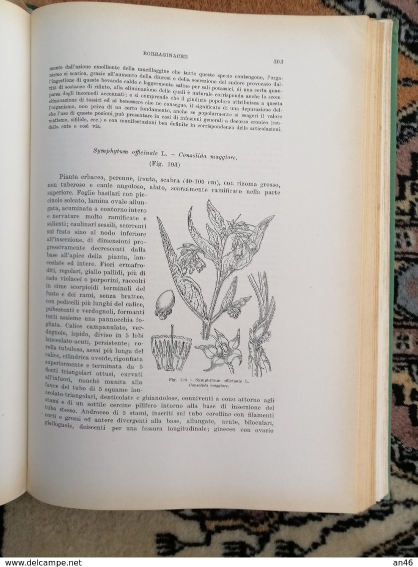 ERBARIO FIGURATO-di GIOVANNI NEGRI-EDITORE ULRICO HOEPLI-MILANO SPEDIZIONE € 6,00- - Gardening