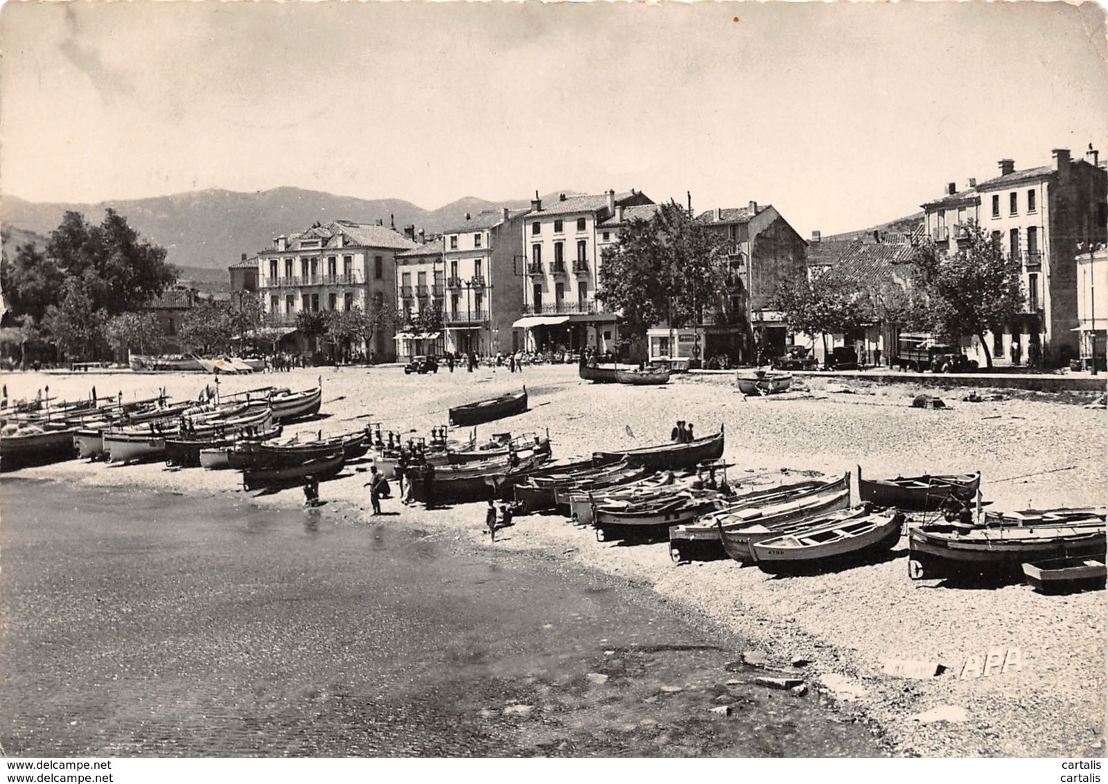 66-BANYULS-N°172-C/0303 - Banyuls Sur Mer