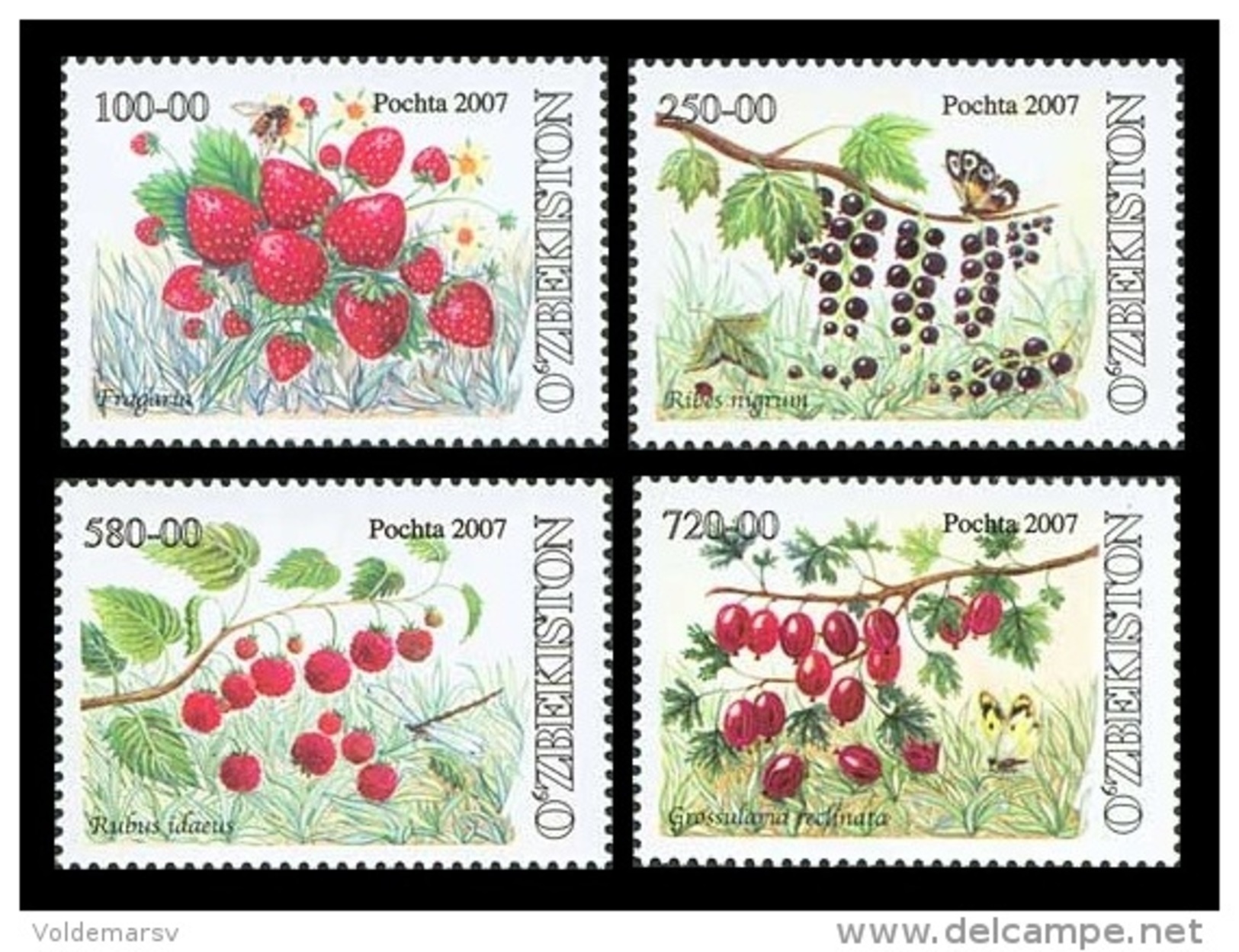 Uzbekistan 2007 Mih. 750/53 Berries MNH ** - Uzbekistan