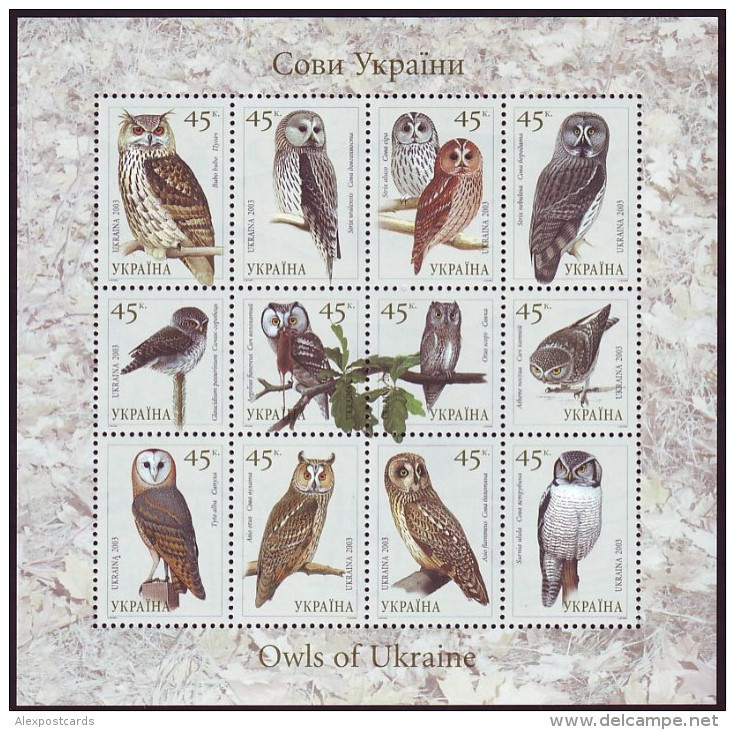 UKRAINE 2003. OWLS OF UKRAINE. Mini-sheet Of 12 Stamps. Mi-Nr. 574-85. MNH (**) - Ucrania