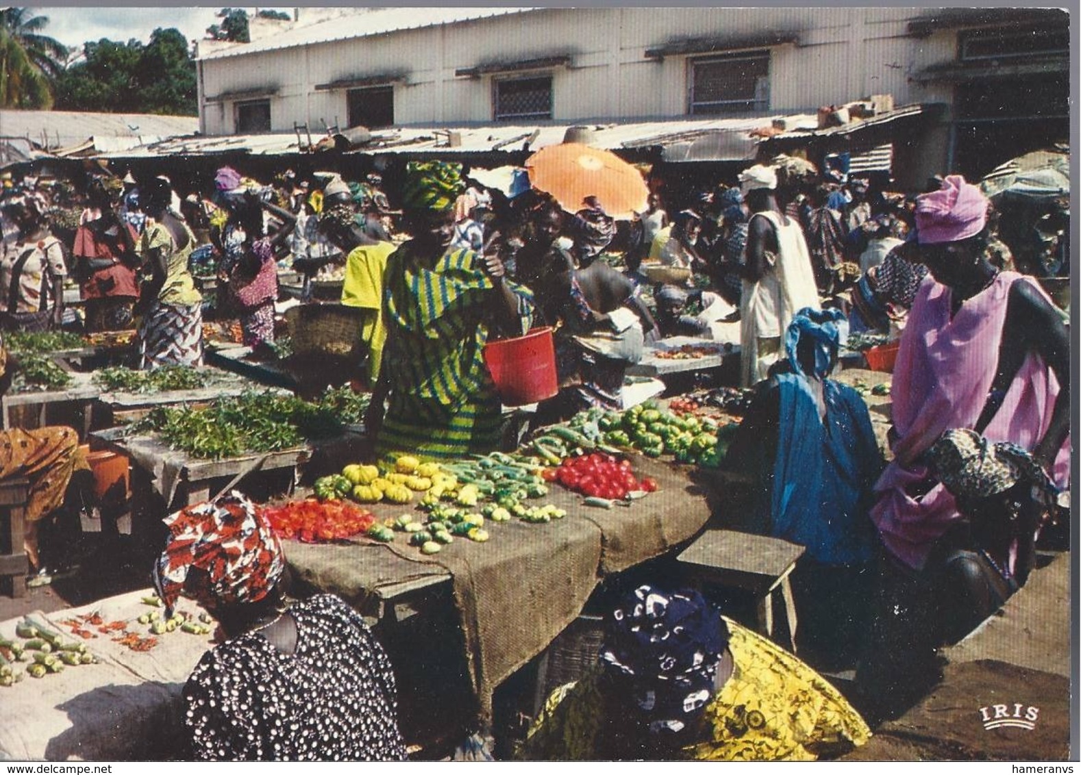 Senegal - Scène De Marchè - H5582 - Senegal