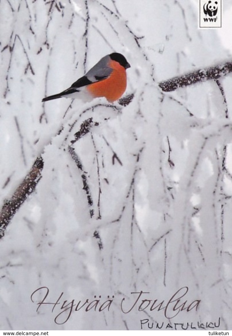 Postal Stationery - Bird - Bullfinch In Winter Landscape - WWF Panda Logo - Suomi Finland - Postage Paid - Postal Stationery