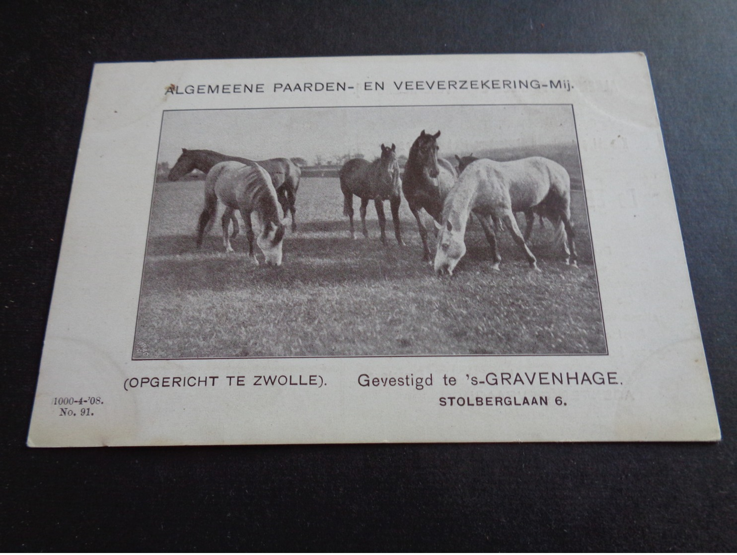 Nederland  (  1872 )  Holland  :   Den Haag  's - Gravenhage - Reclame Algemeene Paarden - En Veeverzekering - Zwolle - Den Haag ('s-Gravenhage)